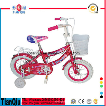 Princess Cute Girls Bike and Cool Bikes for Children